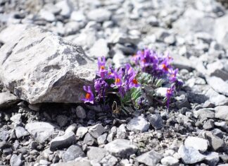 Co zrobić żeby nie śmierdziało w pralce?