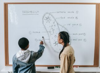 Tablica kredowo magnetyczna