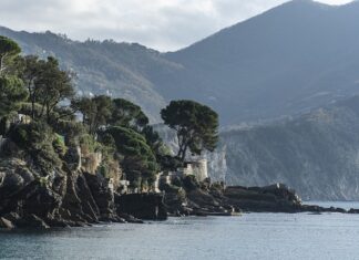 Ile kosztuje wywołanie zdjęć z Kodaka? Ile kosztuje wywołanie zdjęć z Kodaka?