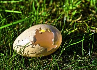 Jak zrobić samemu powłokę hydrofobową? Jak zrobić samemu powłokę hydrofobową?