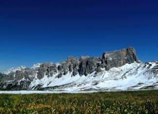 Czy można sypać nawóz na agrowłókninę?
