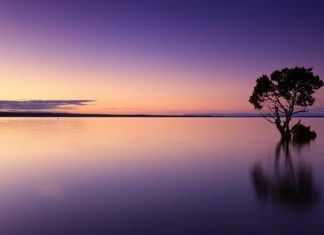 Co odpycha wodę? Co odpycha wodę?