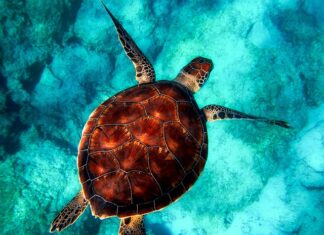 Co to jest powłoką Easy Clean?