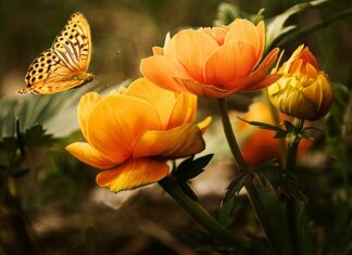 Jaka piana do mycia samochodu? Jaka piana do mycia samochodu?