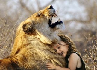 Ile zajmują gry na Steam Deck? Ile zajmują gry na Steam Deck?