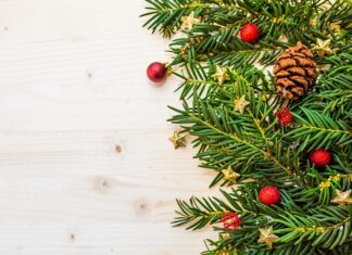 Czy igły z modrzewia zakwaszają glebę?