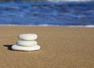 Jaki środek do usuwania kamienia z kabiny prysznicowej? Jaki środek do usuwania kamienia z kabiny prysznicowej?