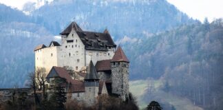 Czym najlepiej obsadzić skarpę?