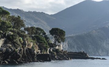 Ile kosztuje najtańsza siatka ogrodzeniowa?