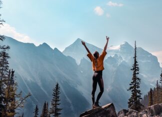 W jakim programie zaprojektować ogród?