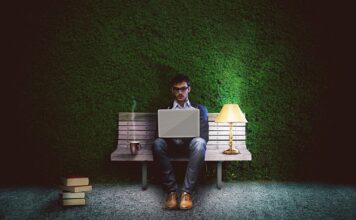 Co na żywopłot zimozielony szybko rosnący?