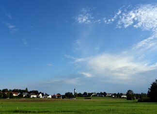 Co warto mieć na działce?