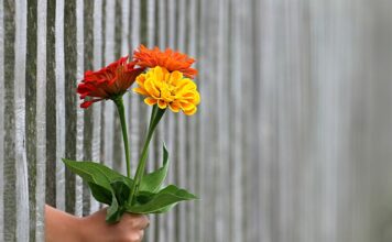 Czy sąsiad ma obowiązek dołożyć się do ogrodzenia? Czy sąsiad ma obowiązek dołożyć się do ogrodzenia?