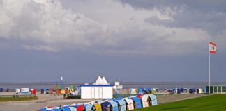 Czy na działce ROD można mieć toaletę?