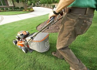 Jak urządzić przydomowy ogródek?