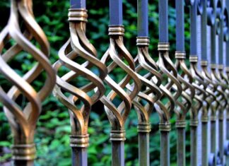 Co posadzić przy płocie od ulicy?