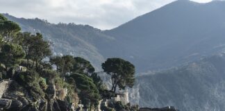 Ile kosztuje słupek ogrodzeniowy?