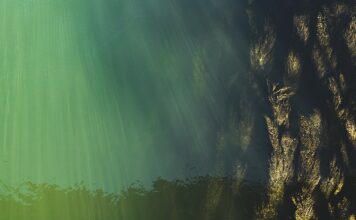 Jak wyznaczyć poziom ogrodzenia?