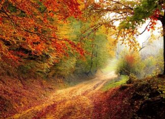 Jaki powinien być spadek podjazdu?