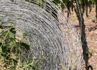 Czy można odgrodzić się od sąsiada? Czy można odgrodzić się od sąsiada?