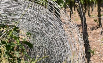 Czy można odgrodzić się od sąsiada?