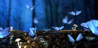 Jakie drewno nie gnije w ziemi? Jakie drewno nie gnije w ziemi?