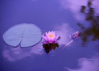 Czy można wykopać staw bez pozwolenia?