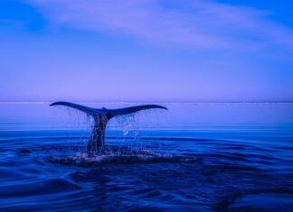 Co grozi za naruszenie granicy działki? Co grozi za naruszenie granicy działki?
