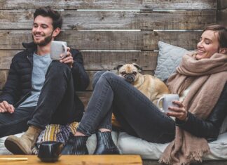 Kto jest właścicielem płotu?