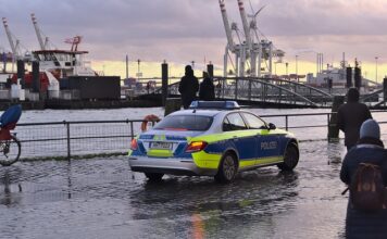 Co kwitnie w lutym? Co kwitnie w lutym?