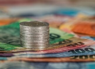 Jaki jest koszt projektu ogrodu?