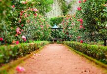 Jak stworzyć ogród, w którym naprawdę odpoczniesz? Jak stworzyć ogród