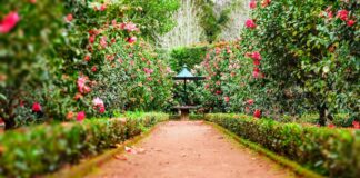 Jak stworzyć ogród, w którym naprawdę odpoczniesz? Jak stworzyć ogród